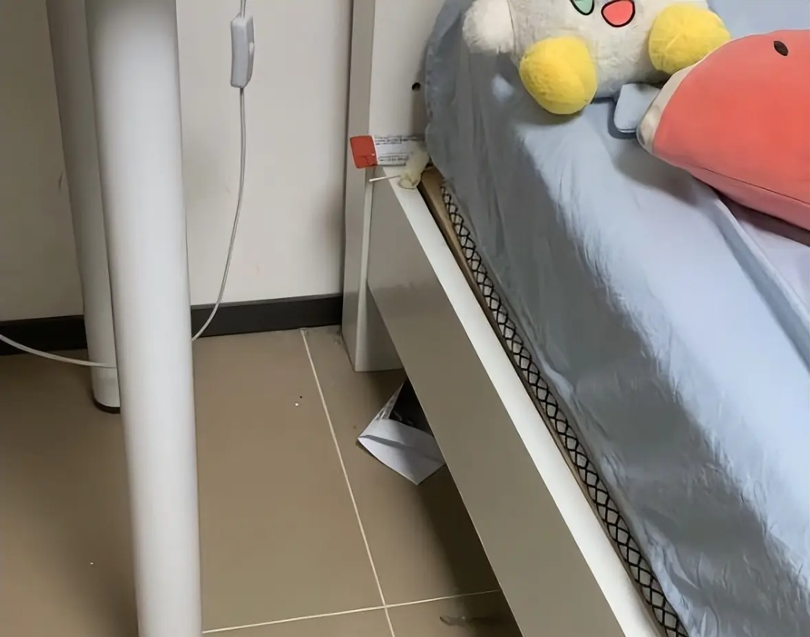 Phụ huynh hoảng hồn vì món đồ "lạ" trong phòng con gái cấp 2, vội vàng lên mạng cầu cứu- Ảnh 1. Phụ huynh hoảng hồn vì món đồ "lạ" trong phòng con gái cấp 2, vội vàng lên mạng cầu cứu- Ảnh 1.