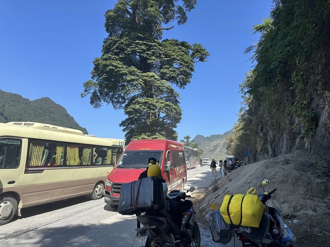 Tuyên Quang đông như Tết, khách lên Lô Lô Chải Tuyên Quang đông như Tết, khách lên Lô Lô Chải
