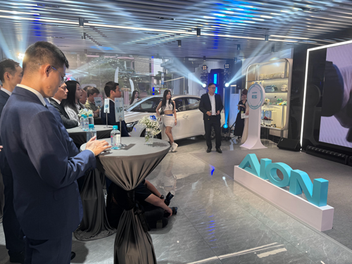 Ô tô điện Trung Quốc vẫn kém sức hút- Ảnh 1.