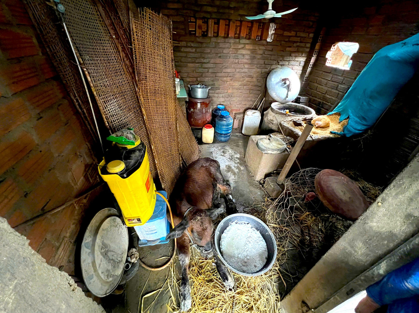 Người dân làng nghề bánh tráng bật khóc sau trận lũ lịch sử: “Không còn gì ngoài bùn và nước”- Ảnh 13.