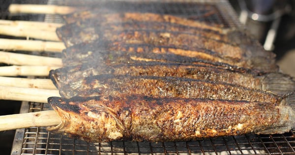 2 loại cá siêu tàn phá mô gan, gây ung thư bậc nhất: Đến dân buôn cũng ngại ăn- Ảnh 2.