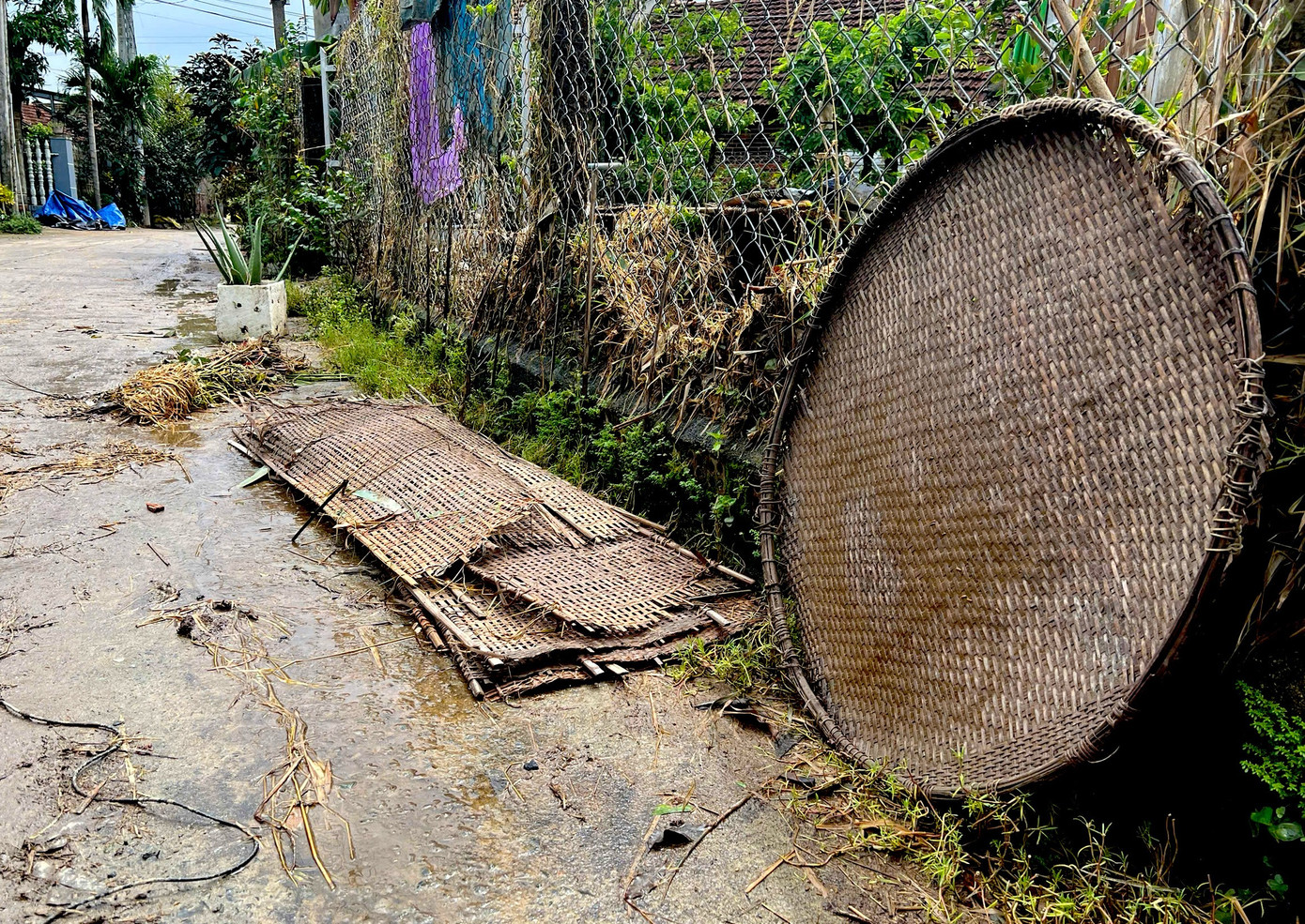 Người dân làng nghề bánh tráng bật khóc sau trận lũ lịch sử: 'Không còn gì ngoài bùn và nước'- Ảnh 14.