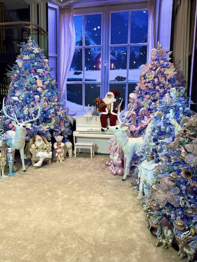 Quyết định cuối cùng của Đàm Vĩnh Hưng- Ảnh 10. Quyết định cuối cùng của Đàm Vĩnh Hưng- Ảnh 10.