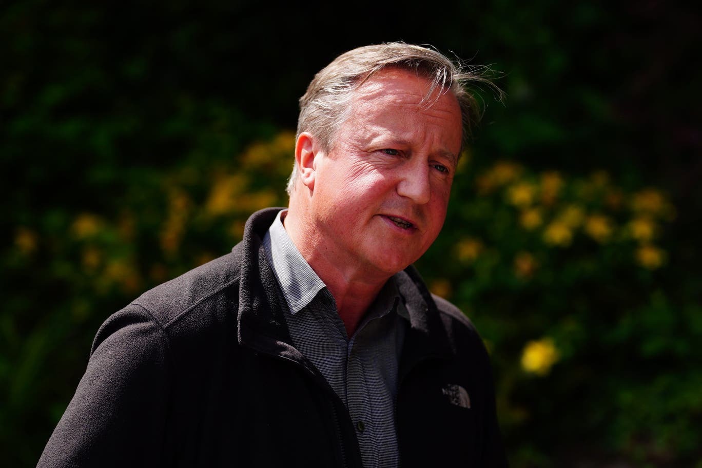 Cựu Thủ tướng Anh David Cameron mắc ung thư- Ảnh 1. Cựu Thủ tướng Anh David Cameron mắc ung thư- Ảnh 1.