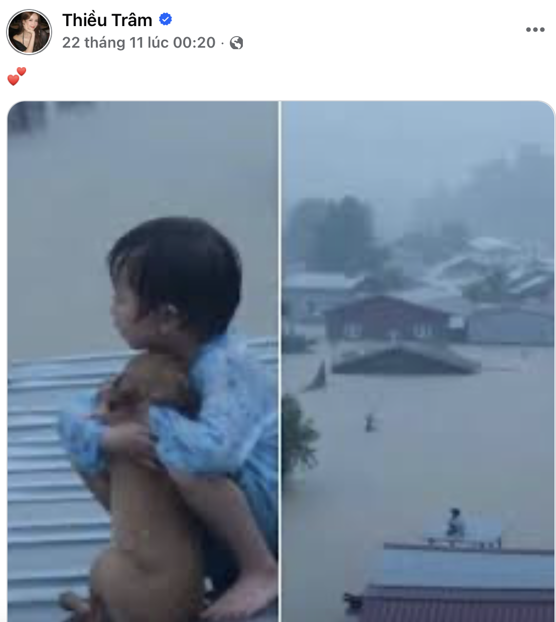 Thiều Bảo Trâm bị chỉ trích, đăng gì mà netizen đồng loạt nói phải xoá gấp?- Ảnh 3.