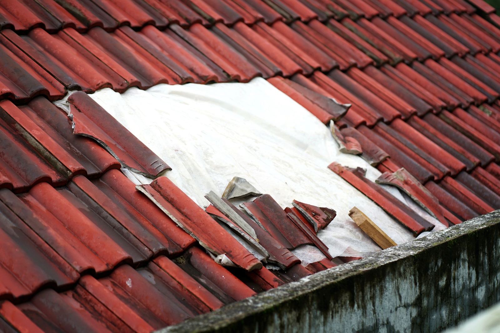 Nhóm "người hùng" đập mái ngói, dùng xuồng nhôm cứu gần 60 người giữa lũ dữ- Ảnh 2. Nhóm "người hùng" đập mái ngói, dùng xuồng nhôm cứu gần 60 người giữa lũ dữ- Ảnh 2.