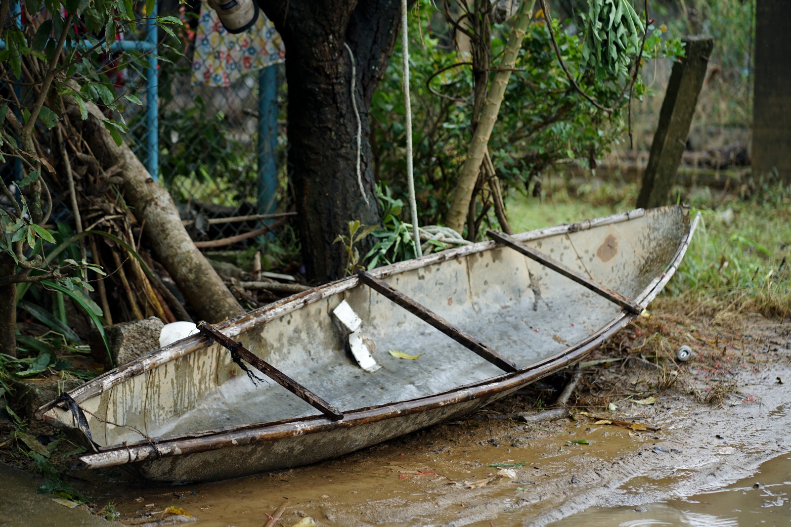 Nhóm "người hùng" đập mái ngói, dùng xuồng nhôm cứu gần 60 người giữa lũ dữ- Ảnh 7. Nhóm "người hùng" đập mái ngói, dùng xuồng nhôm cứu gần 60 người giữa lũ dữ- Ảnh 7.