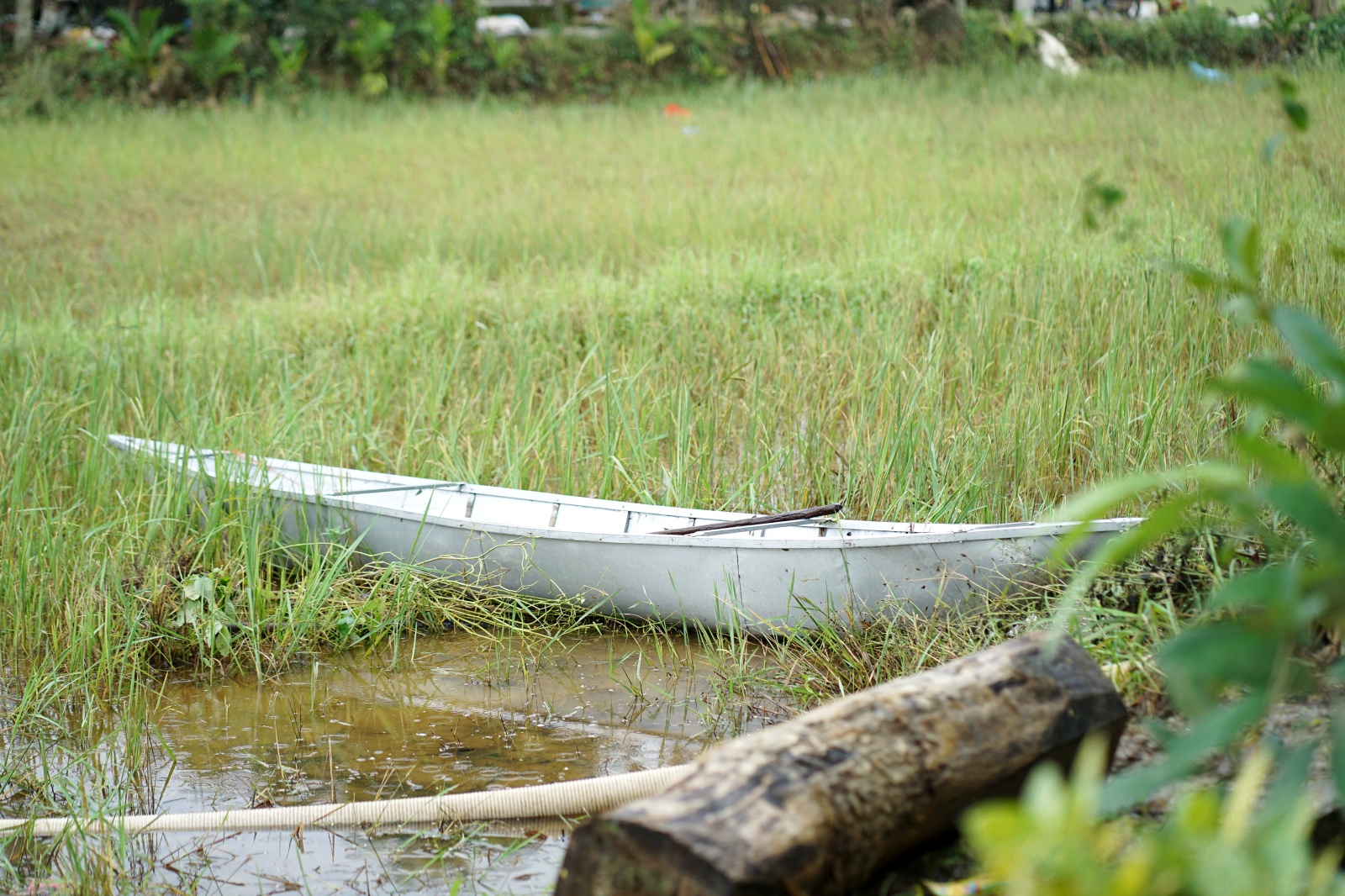 Nhóm "người hùng" đập mái ngói, dùng xuồng nhôm cứu gần 60 người giữa lũ dữ- Ảnh 5. Nhóm "người hùng" đập mái ngói, dùng xuồng nhôm cứu gần 60 người giữa lũ dữ- Ảnh 5.