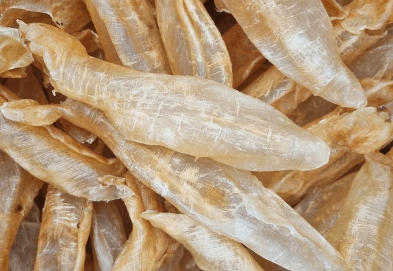 1 bộ phận của cá là biểu tượng của sự giàu có tại Trung Quốc: Cực bổ dưỡng nhưng người Việt hay vứt đi- Ảnh 1. 1 bộ phận của cá là biểu tượng của sự giàu có tại Trung Quốc: Cực bổ dưỡng nhưng người Việt hay vứt đi- Ảnh 1.