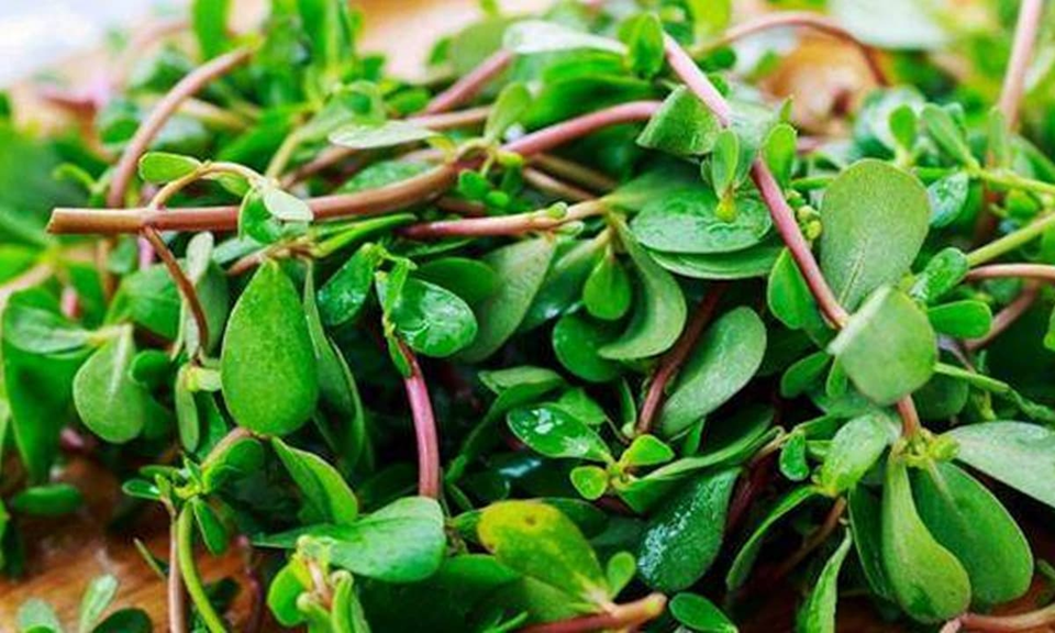 3 Loại Rau Ăn Sống Nhiều 