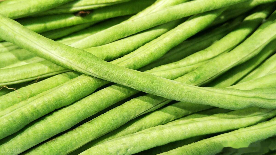 3 Loại Rau Ăn Sống Nhiều 