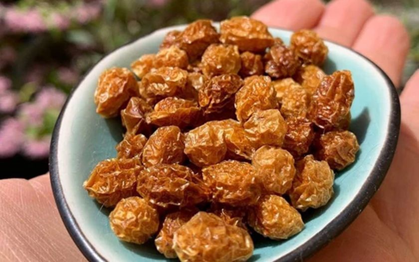 C&acirc;y &ldquo;v&ocirc; danh&rdquo; bất ngờ th&agrave;nh đặc sản gi&aacute; hơn 500 triệu đồng/kg, Việt Nam cũng đ&atilde; trồng th&agrave;nh c&ocirc;ng- Ảnh 2.