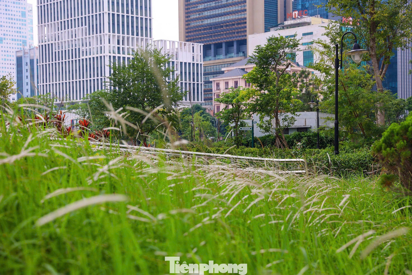 CV1 Cầu Giấy 'lột xác': Từ điểm nóng ô nhiễm thành công viên sạch chỉ sau một chiến dịch- Ảnh 16.