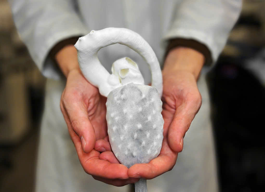 Nhiều chuyên gia sắp đến Việt Nam bàn cách 