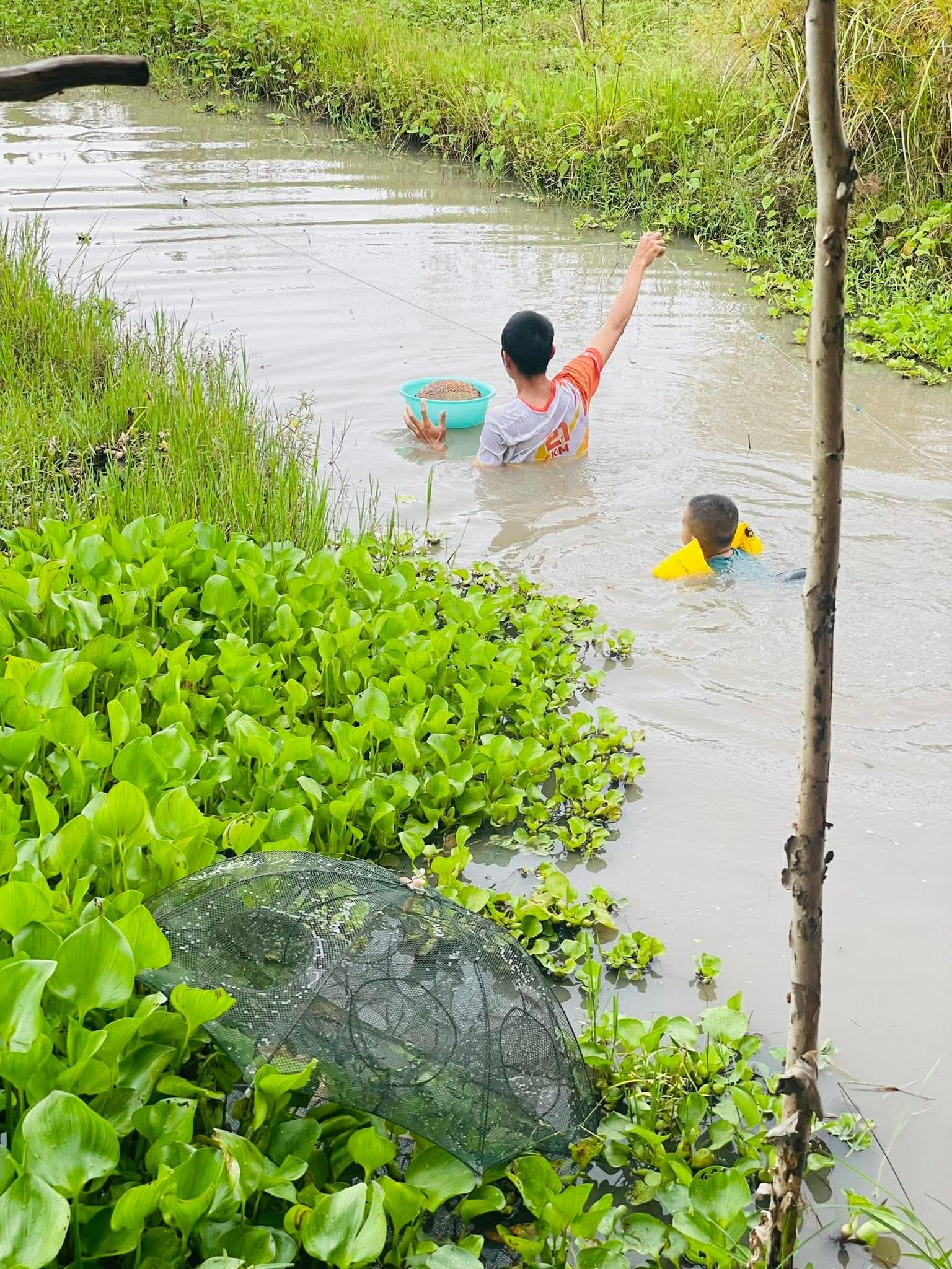 Từng sống trong căn ph&ograve;ng trọ chật chội ở th&agrave;nh phố, vợ chồng trẻ quyết định về qu&ecirc; để con c&oacute; tuổi thơ trọn vẹn- Ảnh 5.