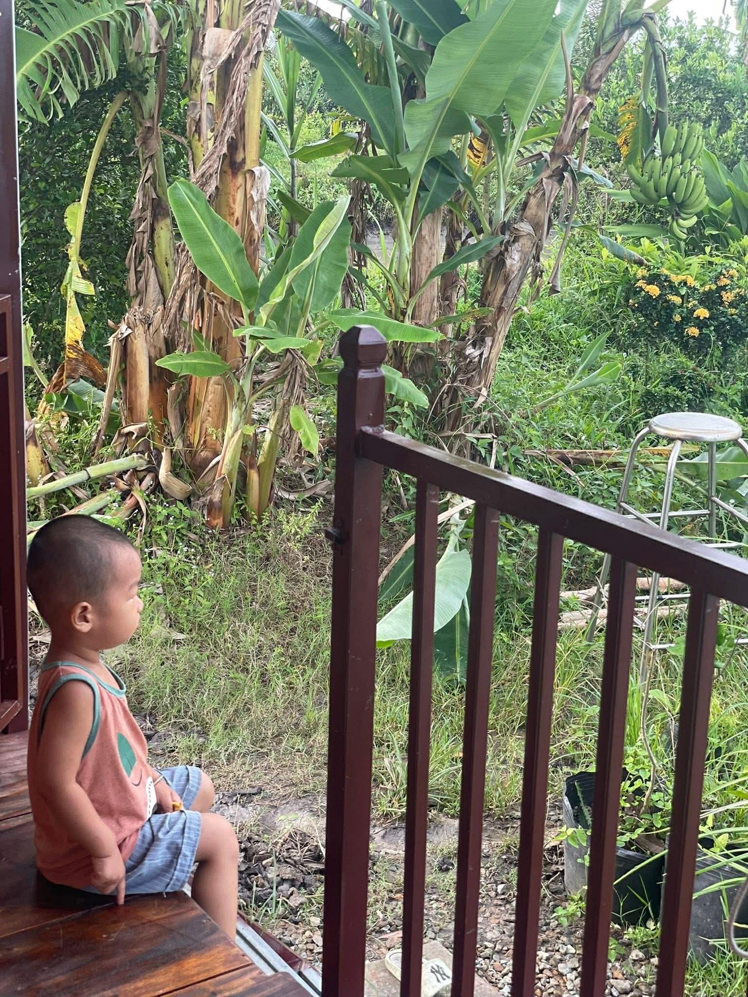 Từng sống trong căn ph&ograve;ng trọ chật chội ở th&agrave;nh phố, vợ chồng trẻ quyết định về qu&ecirc; để con c&oacute; tuổi thơ trọn vẹn- Ảnh 6.