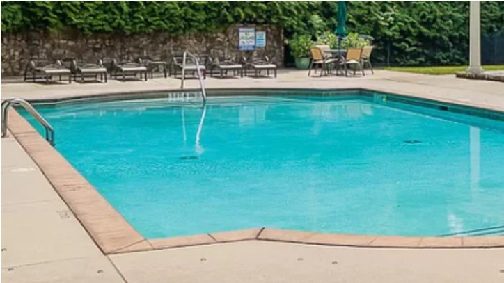 Đào hồ bơi ở vườn, người đàn ông phát hiện kho báu vàng trị giá 21 tỷ đồng: Chính quyền lập tức vào cuộc- Ảnh 3.