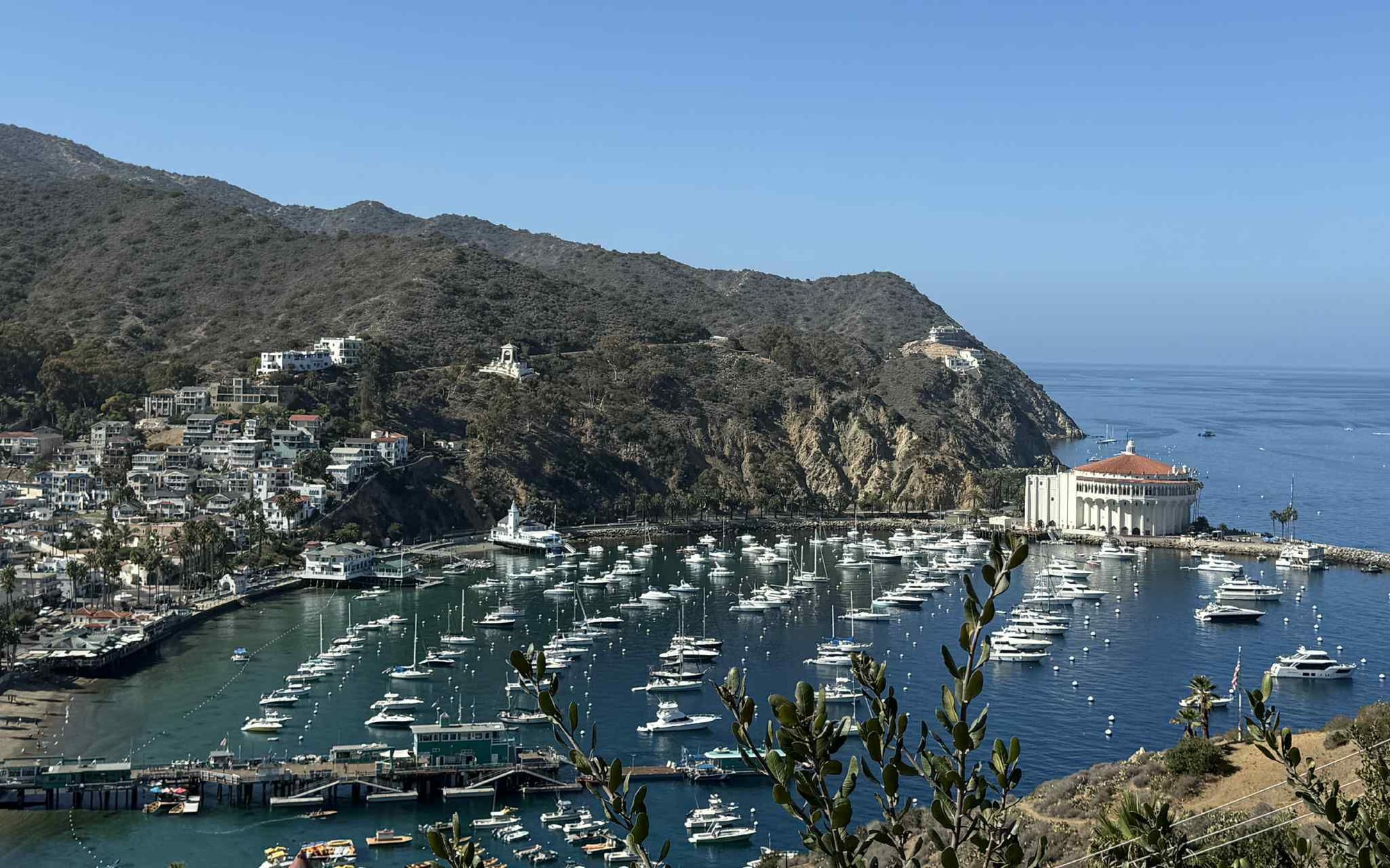 Một ngày bình yên trên đảo Santa Catalina.