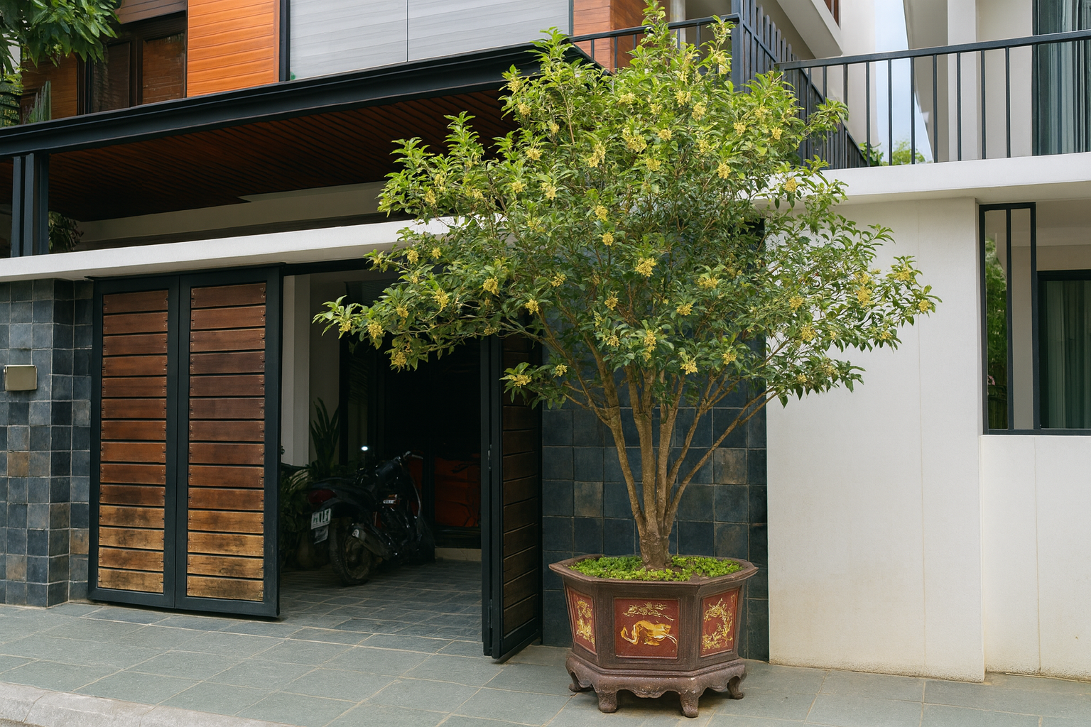 Sân nhà trồng 3 loại cây này: Càng trồng càng thấy nhà ấm, lộc về kín cổng- Ảnh 24.