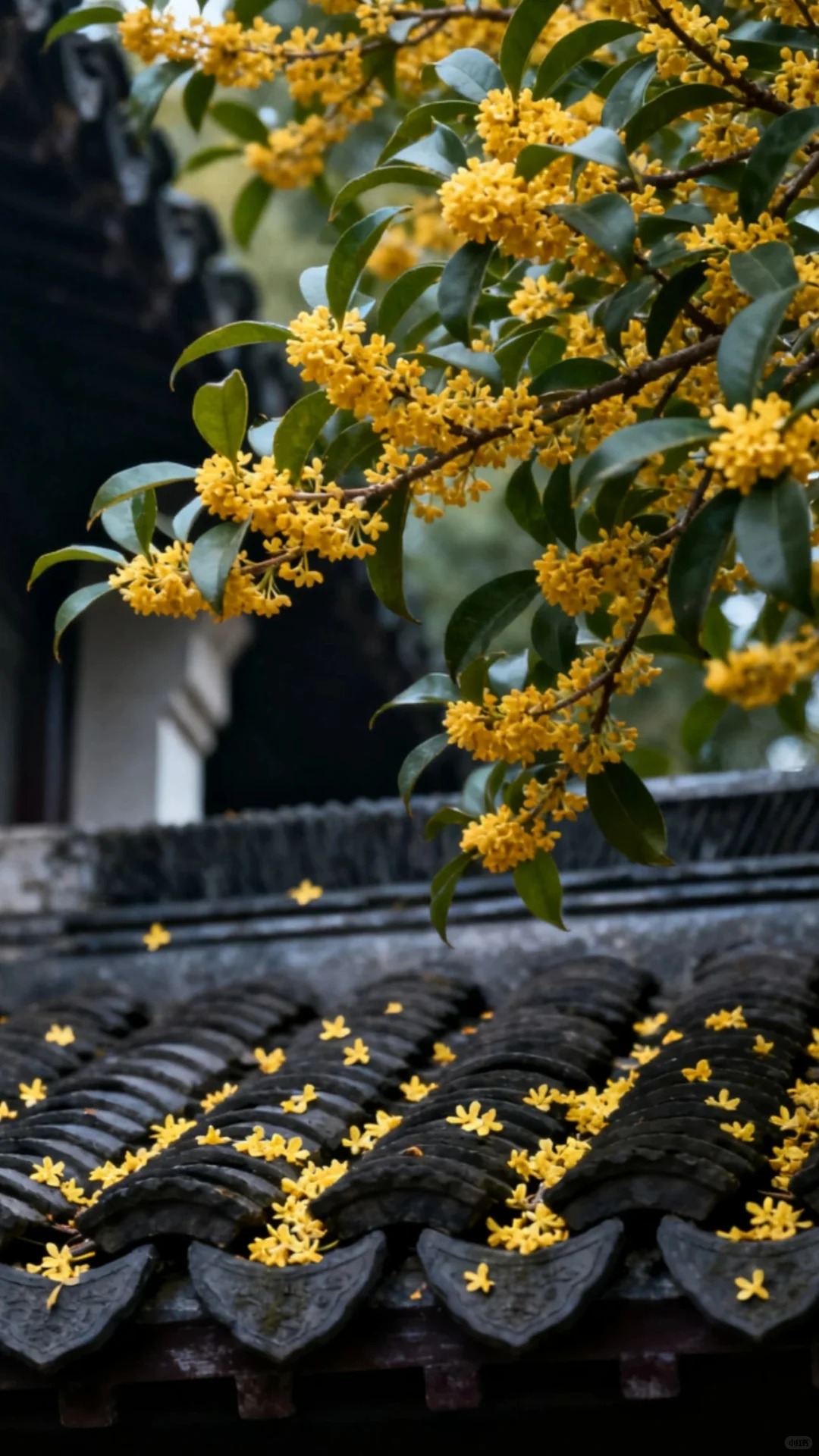 Sân nhà trồng 3 loại cây này: Càng trồng càng thấy nhà ấm, lộc về kín cổng- Ảnh 22.