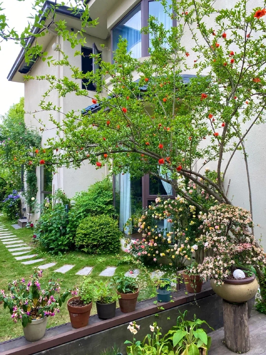 Sân nhà trồng 3 loại cây này: Càng trồng càng thấy nhà ấm, lộc về kín cổng- Ảnh 15.