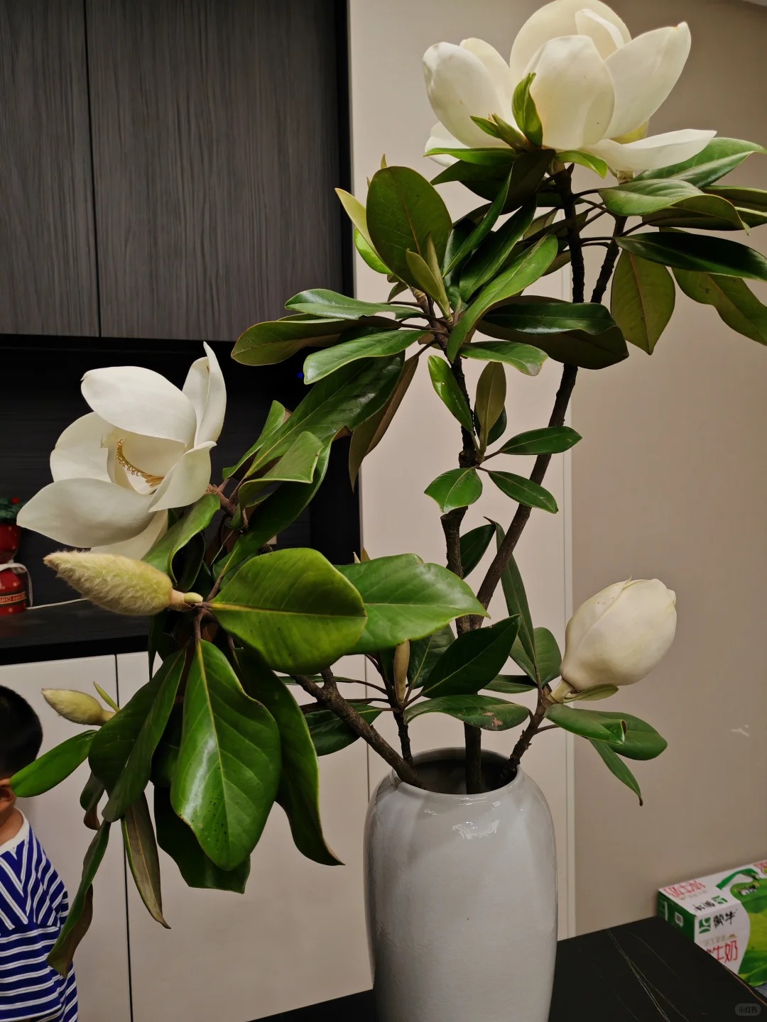 Sân nhà trồng 3 loại cây này: Càng trồng càng thấy nhà ấm, lộc về kín cổng- Ảnh 2.