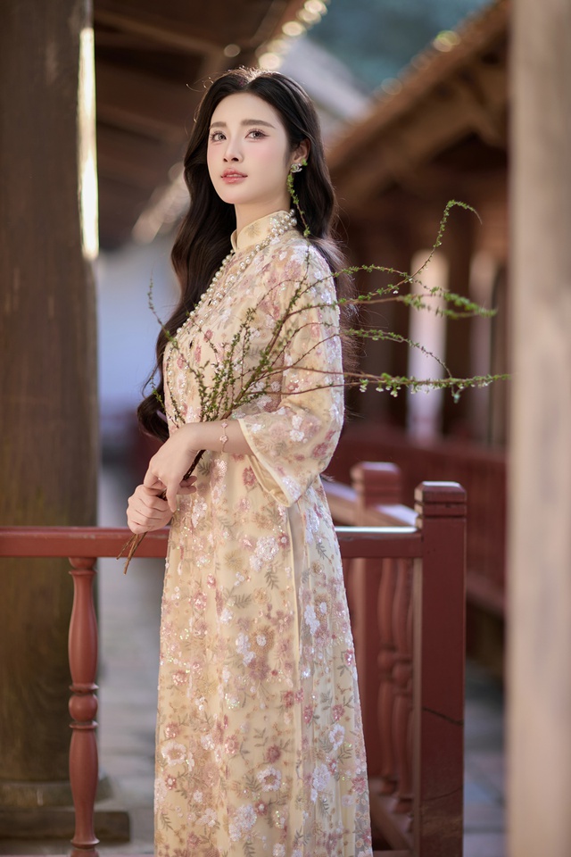 Hoa khôi Thanh lịch Hà Nội 2025 Đinh Hoài An thướt tha trong bộ ảnh đón thu- Ảnh 9.