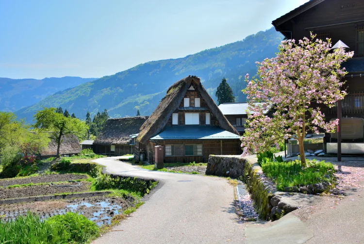 Không phải Thụy Sĩ hay châu Âu, đây mới là nơi 3 năm liên tiếp được báo Mỹ vinh danh "hấp dẫn nhất thế giới": Đón lượng khách Việt cao kỷ lục- Ảnh 2.