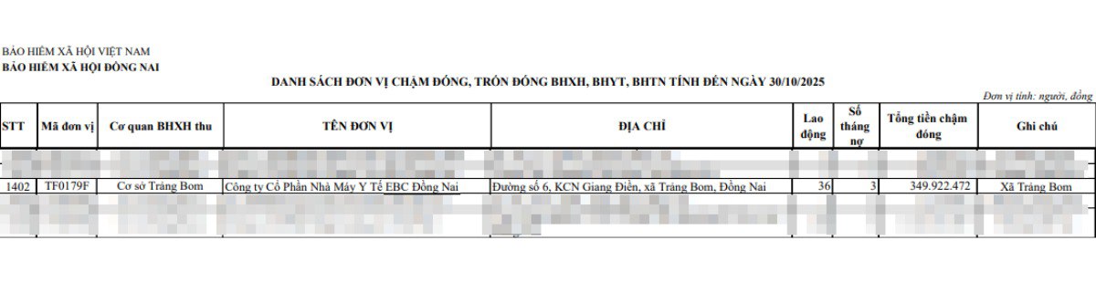 BHXH tỉnh Đồng Nai phát thông báo nóng đến công ty làm kem chống nắng giả cho chồng Đoàn Di Băng- Ảnh 1.