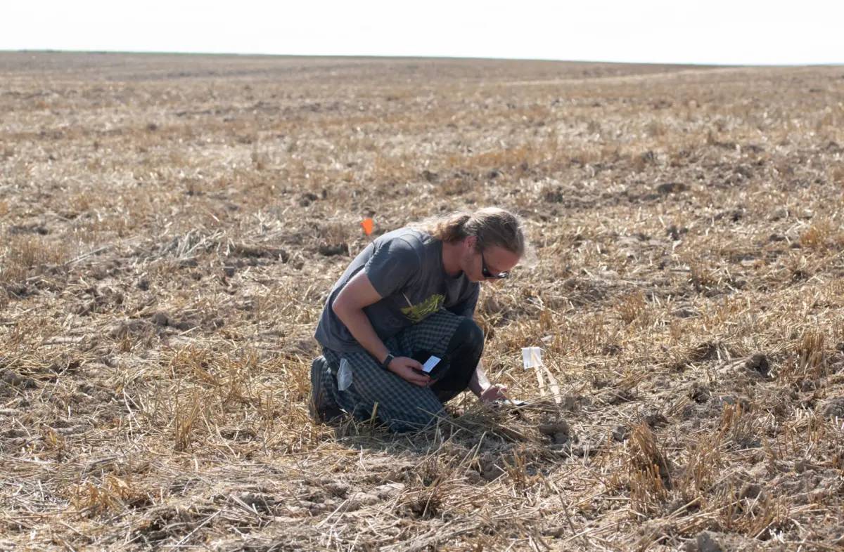 Kho báu vô giá được tìm thấy tại địa điểm bí mật của châu Âu- Ảnh 3.