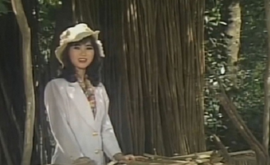 Nữ ca sĩ đi diễn miền Tây bị sập cả hàng rào- Ảnh 4.