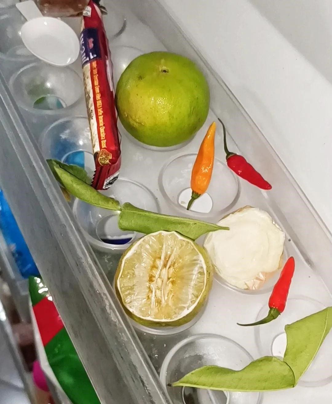 Trung bình cửa tủ lạnh của các gia đình Việt Nam đều có 1 thứ: Hóa ra có tác dụng bất ngờ- Ảnh 4.