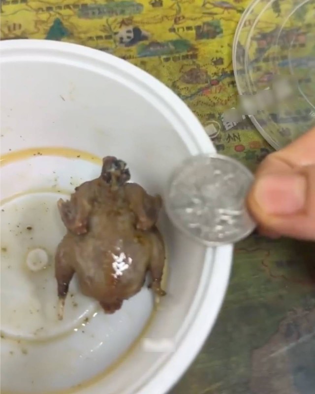 Mua gà rán nguyên con chỉ 7.000 đồng, cô gái 