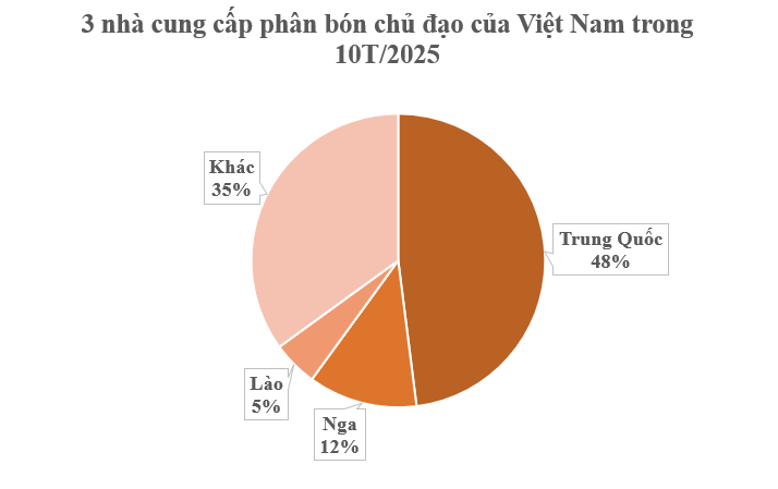 Hàng trăm nghìn tấn hàng từ Nga, Lào cùng đổ bộ Việt Nam: Nước ta sử dụng gấp 3 lần trung bình thế giới, chi gần 2 tỷ USD nhập khẩu- Ảnh 3.