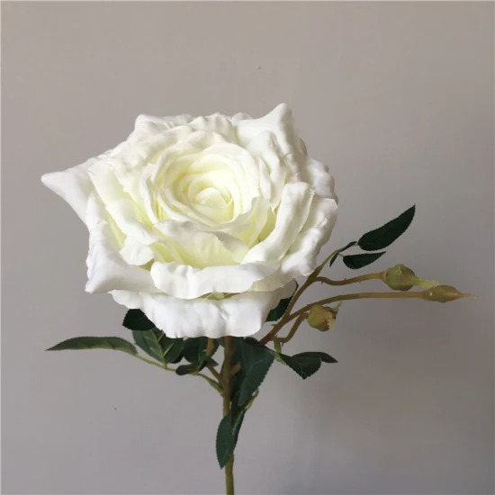 5 loài hoa không nên thắp hương trên bàn thờ gia tiên - Ảnh 4.