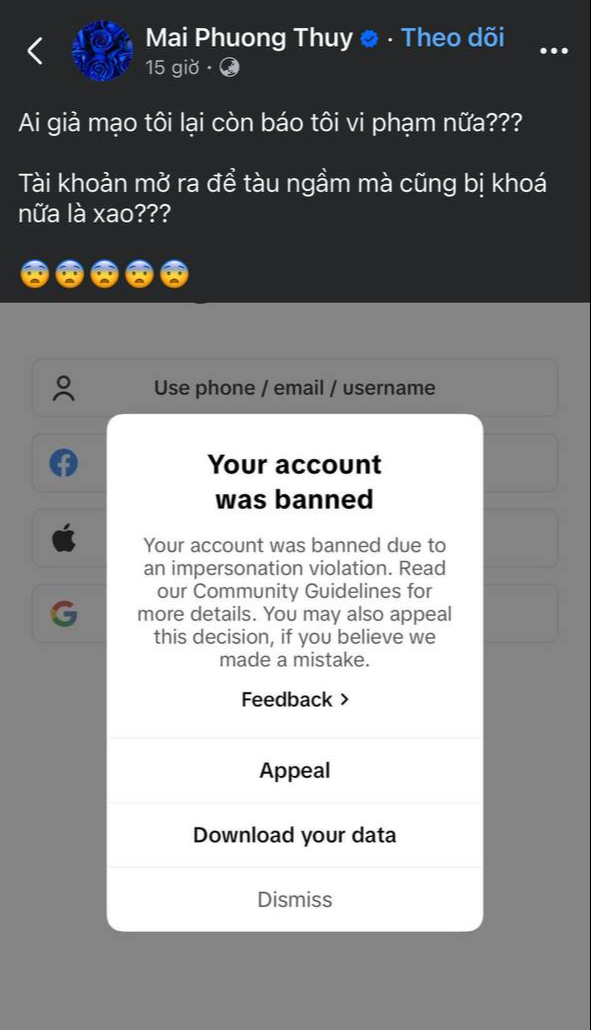 Mai Phương Thúy lên tiếng- Ảnh 1.