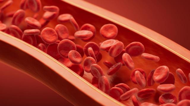 Người có "máu sạch" thường có 5 đặc điểm - nếu bạn đạt được 4, xin chúc mừng!- Ảnh 1.