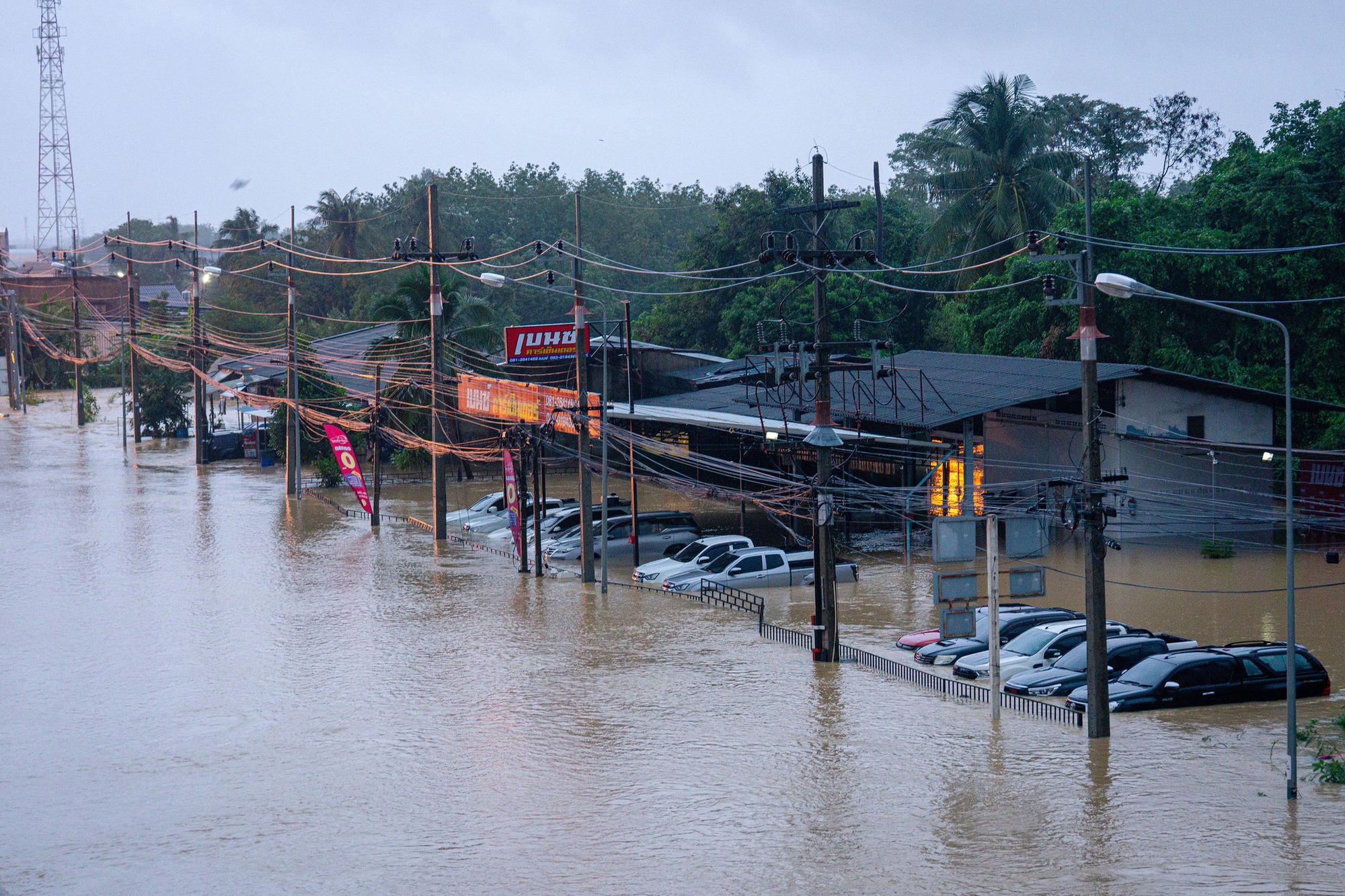 Thái Lan ban bố tình trạng khẩn cấp quốc gia tại Songkhla vì lũ lụt "300 năm mới có một lần"- Ảnh 6. Thái Lan ban bố tình trạng khẩn cấp quốc gia tại Songkhla vì lũ lụt "300 năm mới có một lần"- Ảnh 6.