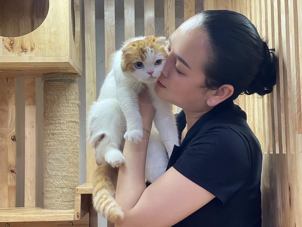 M&egrave;o Anh l&ocirc;ng ngắn &ndash; &ldquo;b&eacute; b&aacute;nh bao&rdquo; đang chiếm tr&aacute;i tim người trẻ S&agrave;i G&ograve;n- Ảnh 1.