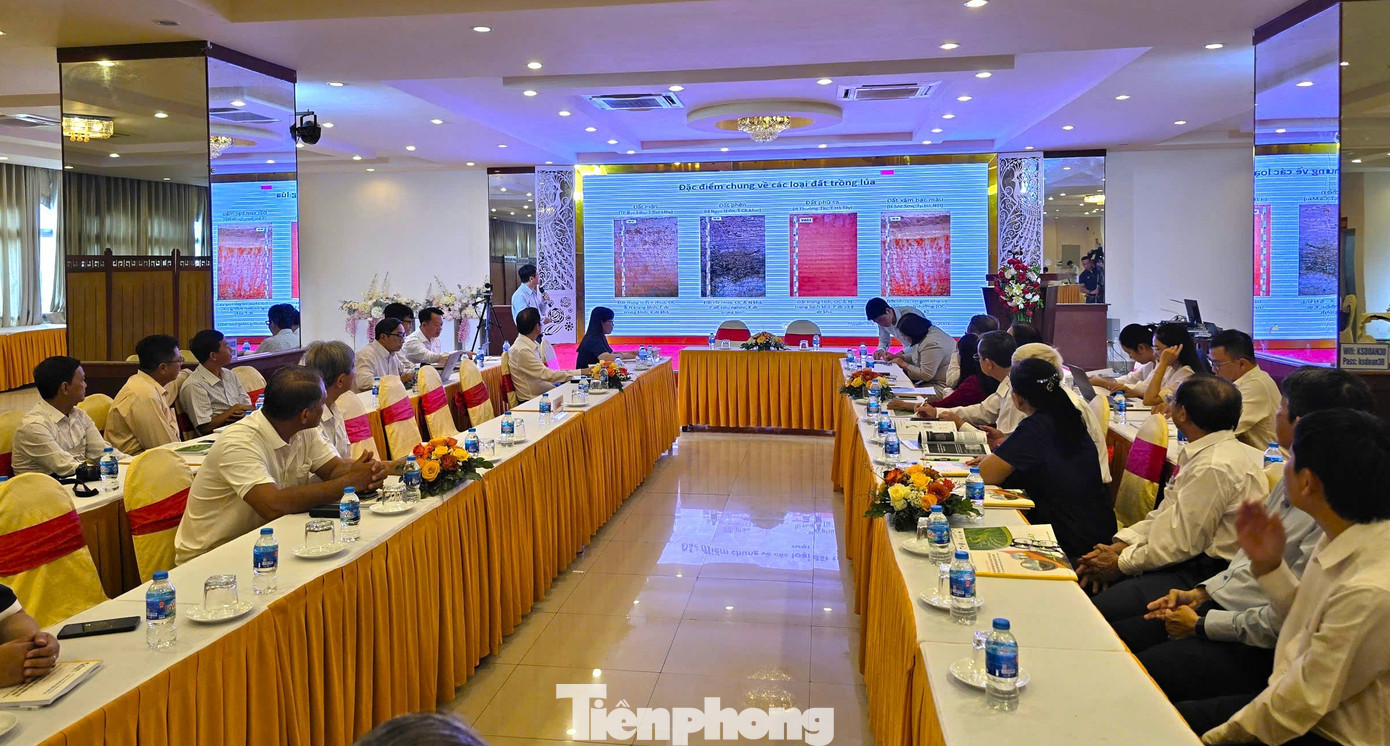 Sức khỏe đất suy yếu, chuyên gia bàn giải pháp cứu Đồng bằng sông Cửu Long- Ảnh 1.