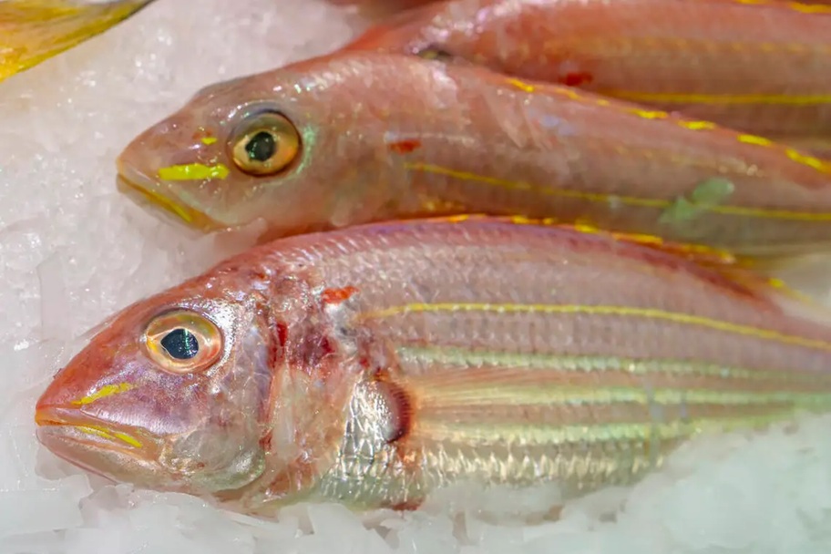 Ra chợ gặp 5 loại cá này thì mua ngay kẻo hết, toàn cá tự nhiên không thể nuôi nhân tạo, nhiều thịt, ít xương- Ảnh 2.