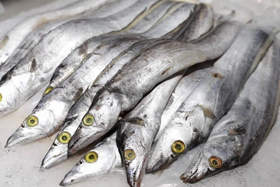 Ra chợ gặp 5 loại cá này thì mua ngay kẻo hết, toàn cá tự nhiên không thể nuôi nhân tạo, nhiều thịt, ít xương- Ảnh 3.