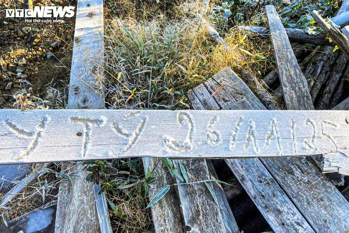 Y T&yacute; xuất hiện băng gi&aacute;, những t&aacute;n c&acirc;y rừng đẹp kỳ ảo- Ảnh 3.