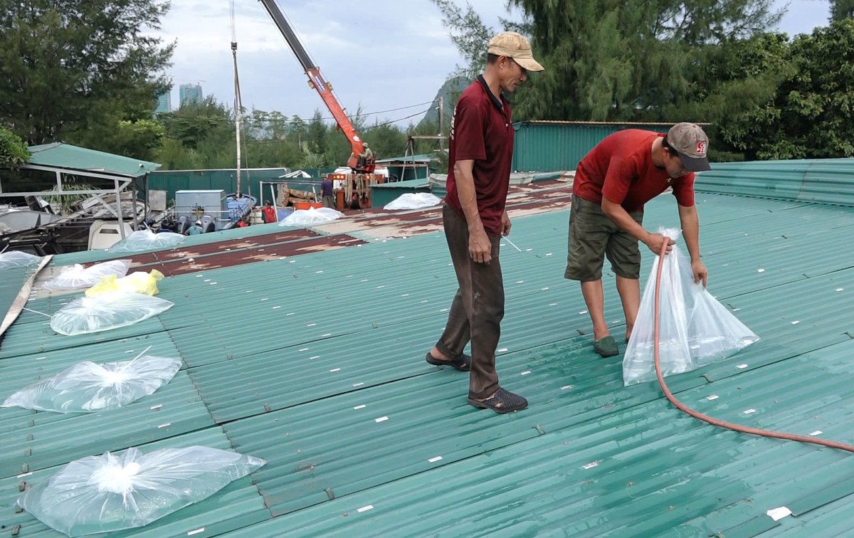 Người dân các tỉnh từ Đà Nẵng đến Lâm Đồng cần đặc biệt lưu ý, làm những việc này trước 28/11- Ảnh 2.