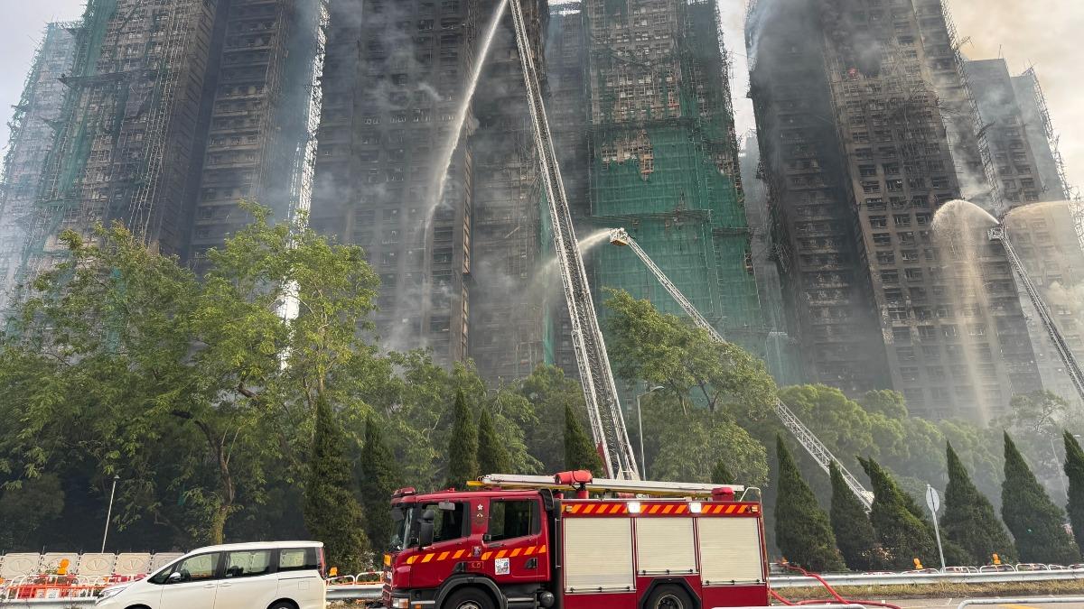 - Ảnh 1. - Ảnh 1.