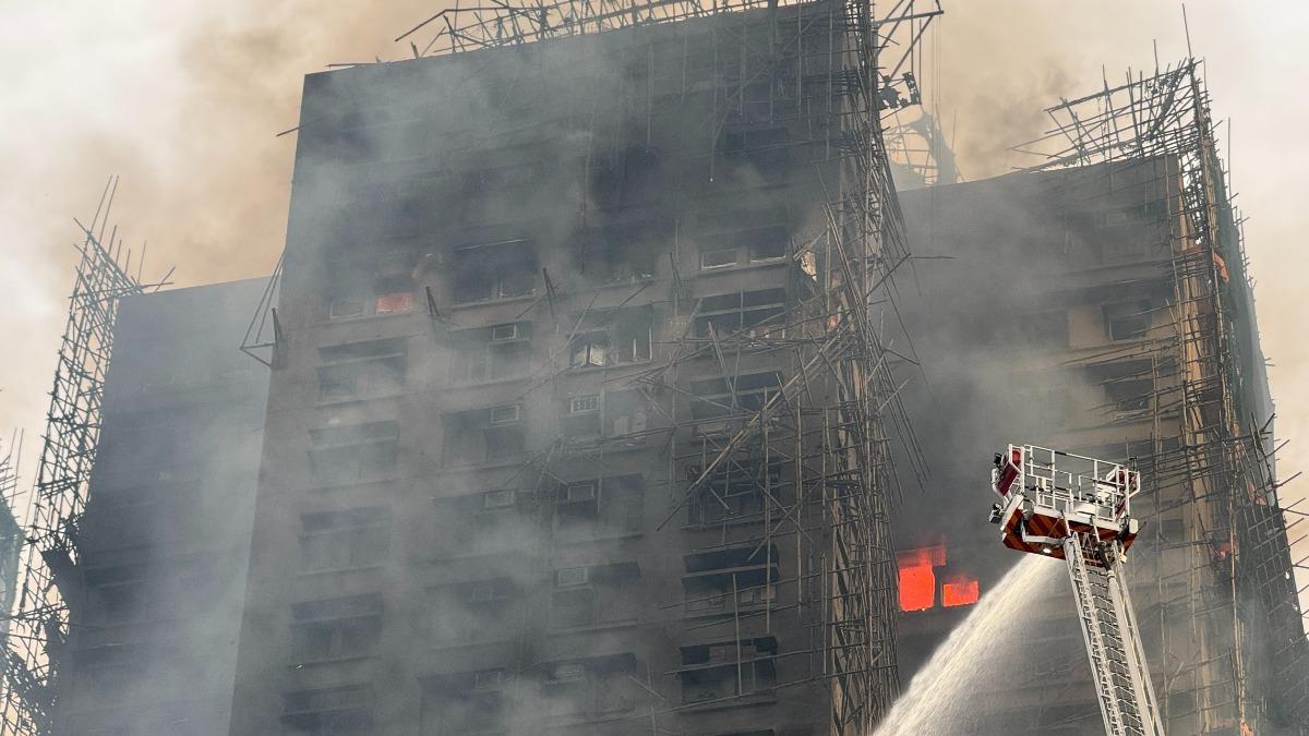 - Ảnh 2. - Ảnh 2.