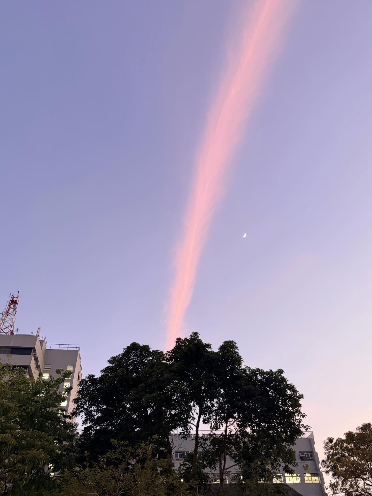"C&acirc;y cầu lạ" xuất hiện tr&ecirc;n bầu trời Hong Kong (Trung Quốc) sau 3 tiếng vụ ch&aacute;y như tận thế- Ảnh 13.