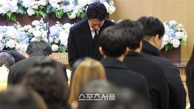 - Ảnh 9. - Ảnh 9.