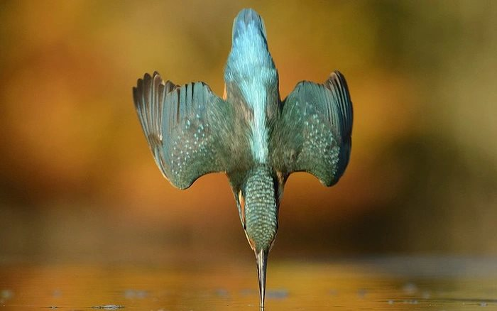 Xem cách người Nhật "vẽ hình" kỳ lạ cho tàu Shinkashen mới kinh ngạc trước khối óc của họ kỳ tài đến mức nào- Ảnh 2.