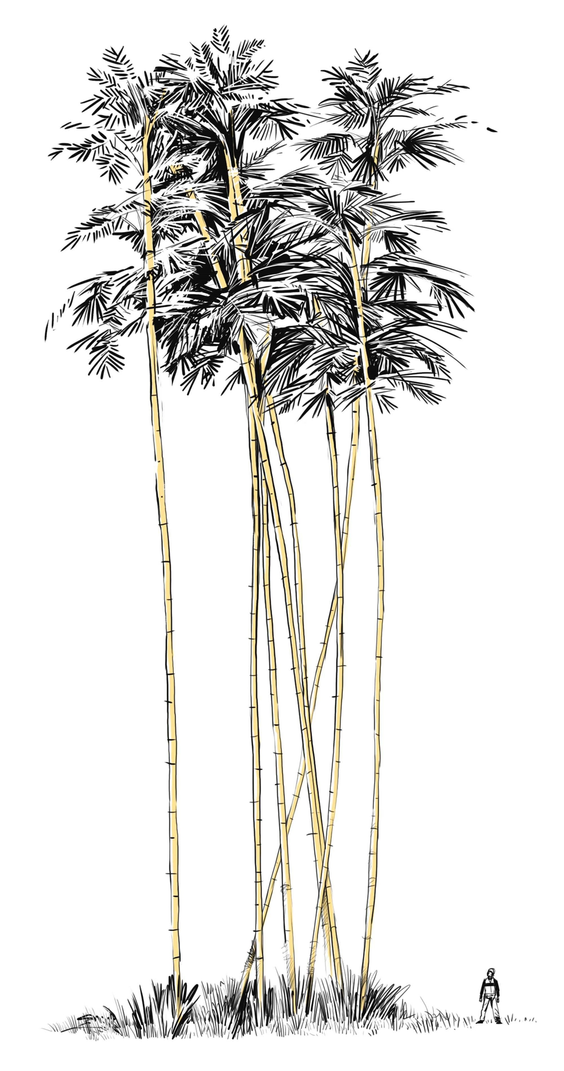 Xem kỹ thứ này người ta mới hiểu vì sao giàn giáo tre lại là "công phu nghìn năm" của các sư phụ Hong Kong- Ảnh 3.